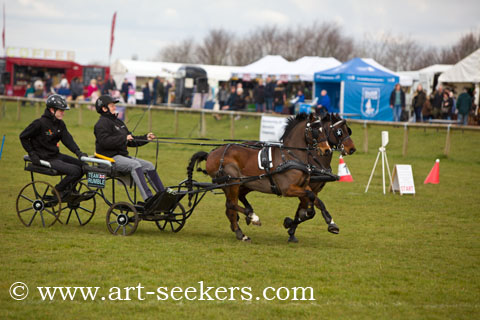 British Scurry Driving Trials Thame Country Show 1386.jpg