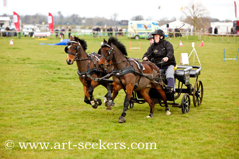 British Scurry Driving Trials Thame Country Show 1389.jpg