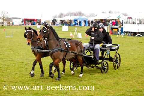 British Scurry Driving Trials Thame Country Show 1391.jpg