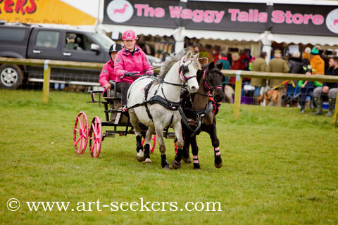 British Scurry Driving Trials Thame Country Show 1393.jpg