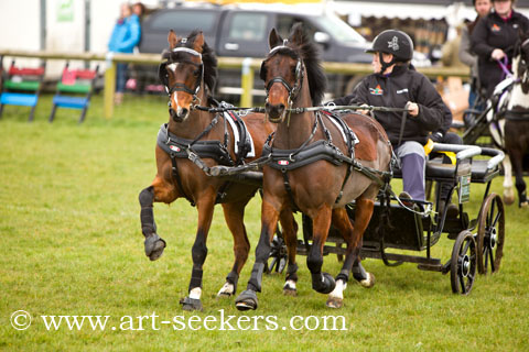 British Scurry Driving Trials Thame Country Show 1394.jpg