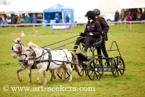 British Scurry Driving Trials Thame Country Show 1397.jpg British Scurry Driving Trials Thame Country Show 1397.jpg