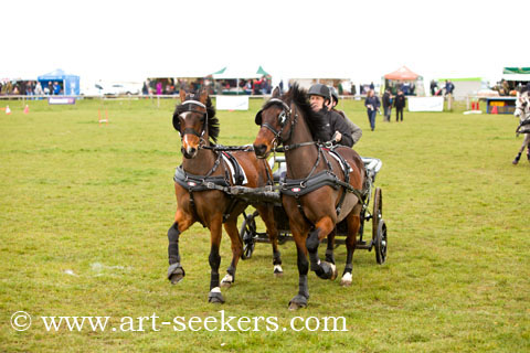 British Scurry Driving Trials Thame Country Show 1398.jpg British Scurry Driving Trials Thame Country Show 1398.jpg