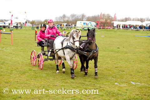 British Scurry Driving Trials Thame Country Show 1399.jpg