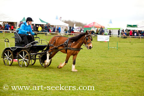 British Scurry Driving Trials Thame Country Show 1401.jpg