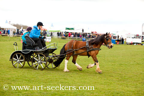 British Scurry Driving Trials Thame Country Show 1402.jpg