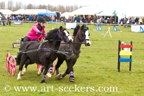 British Scurry Driving Trials Thame Country Show 1604.jpg