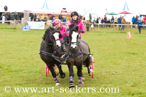 British Scurry Driving Trials Thame Country Show 1606.jpg