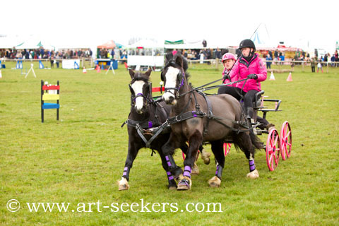 British Scurry Driving Trials Thame Country Show 1607.jpg