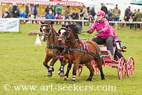 British Scurry Driving Trials Thame Country Show 1608.jpg