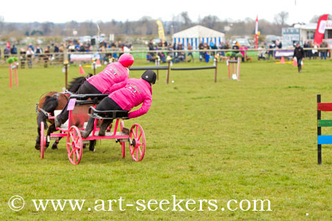 British Scurry Driving Trials Thame Country Show 1610.jpg