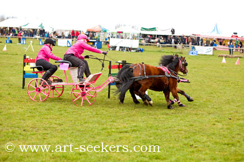 British Scurry Driving Trials Thame Country Show 1612.jpg
