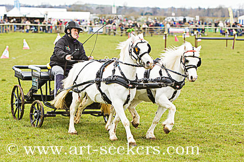British Scurry Driving Trials Thame Country Show 1614.jpg