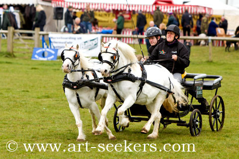 British Scurry Driving Trials Thame Country Show 1615.jpg