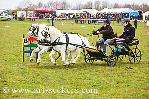 British Scurry Driving Trials Thame Country Show 1618.jpg