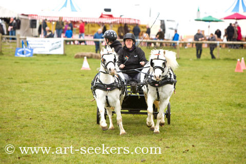 British Scurry Driving Trials Thame Country Show 1619.jpg