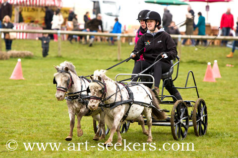 British Scurry Driving Trials Thame Country Show 1621.jpg British Scurry Driving Trials Thame Country Show 1621.jpg