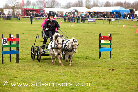 British Scurry Driving Trials Thame Country Show 1625.jpg