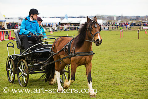 British Scurry Driving Trials Thame Country Show 1628.jpg