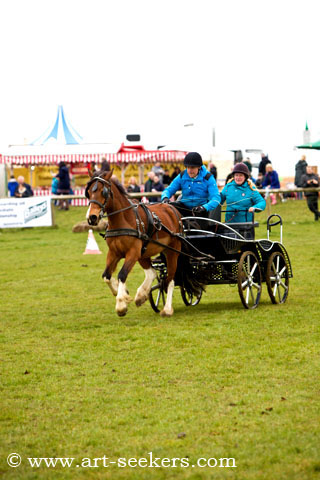 British Scurry Driving Trials Thame Country Show 1629.jpg