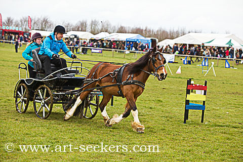 British Scurry Driving Trials Thame Country Show 1630.jpg British Scurry Driving Trials Thame Country Show 1630.jpg