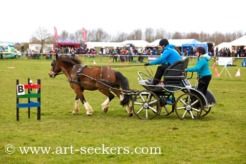 British Scurry Driving Trials Thame Country Show 1631.jpg