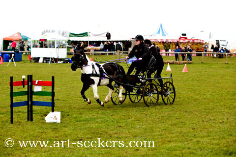 British Scurry Driving Trials Thame Country Show 1633.jpg