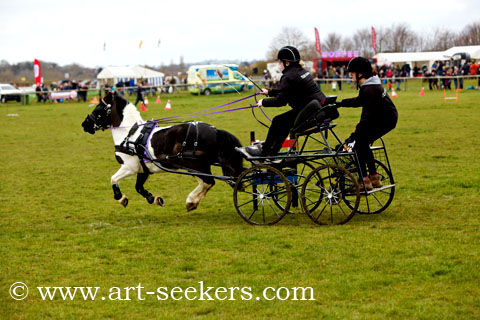 British Scurry Driving Trials Thame Country Show 1634.jpg