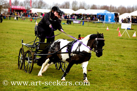 British Scurry Driving Trials Thame Country Show 1635.jpg