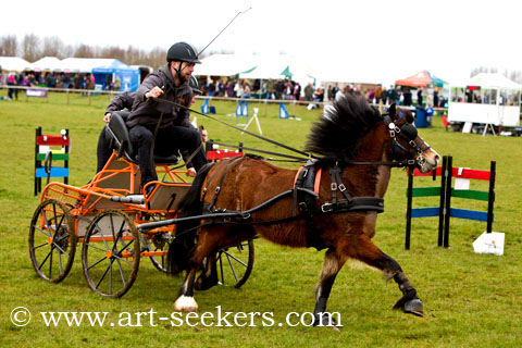 British Scurry Driving Trials Thame Country Show 1647.jpg British Scurry Driving Trials Thame Country Show 1647.jpg