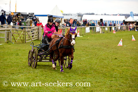 British Scurry Driving Trials Thame Country Show 1650.jpg