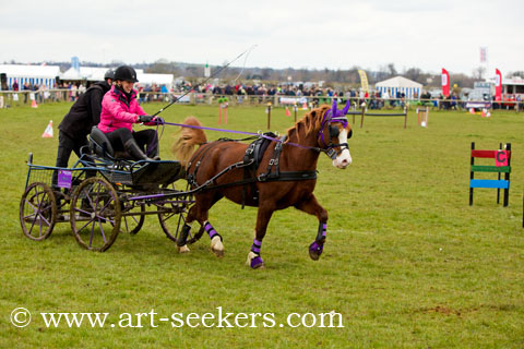 British Scurry Driving Trials Thame Country Show 1651.jpg