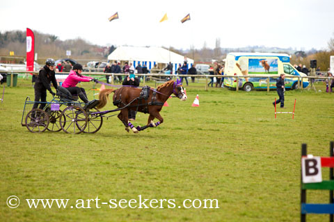 British Scurry Driving Trials Thame Country Show 1653.jpg