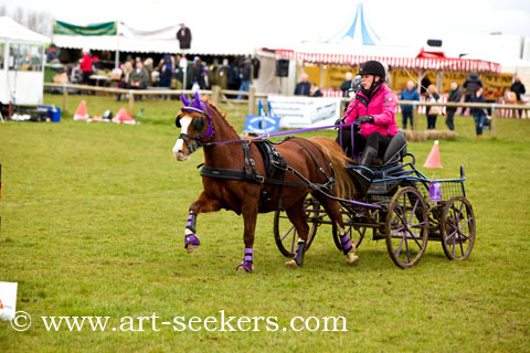 British Scurry Driving Trials Thame Country Show 1656.jpg