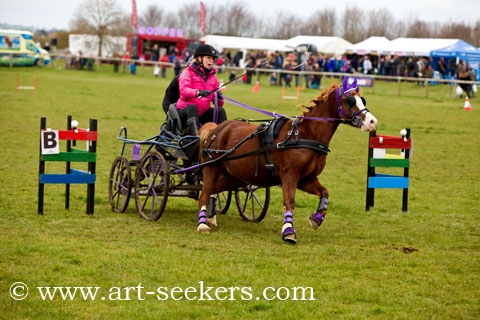 British Scurry Driving Trials Thame Country Show 1659.jpg