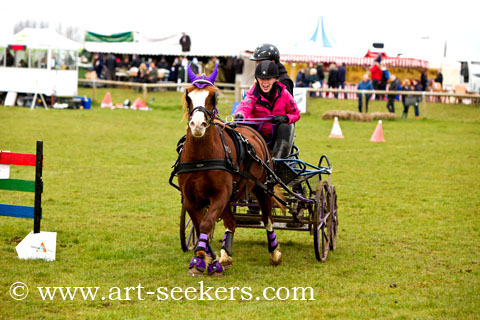 British Scurry Driving Trials Thame Country Show 1663.jpg