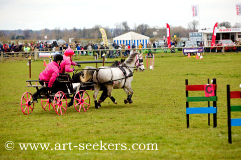 British Scurry Driving Trials Thame Country Show 1667.jpg