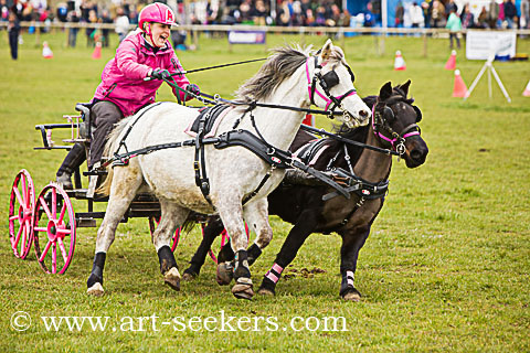 British Scurry Driving Trials Thame Country Show 1669.jpg