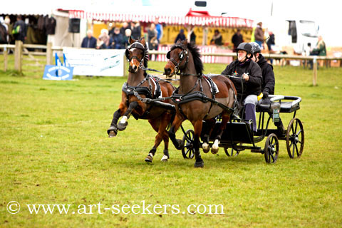 British Scurry Driving Trials Thame Country Show 1673.jpg