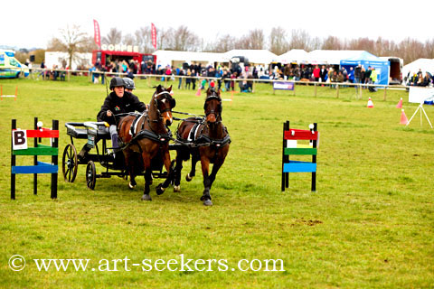 British Scurry Driving Trials Thame Country Show 1679.jpg