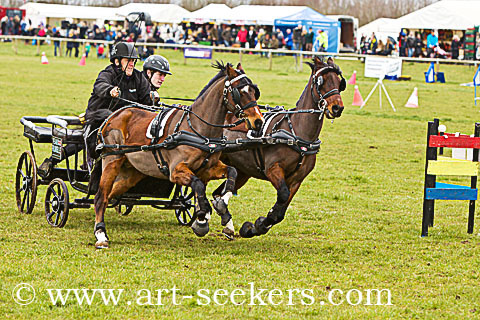 British Scurry Driving Trials Thame Country Show 1680.jpg