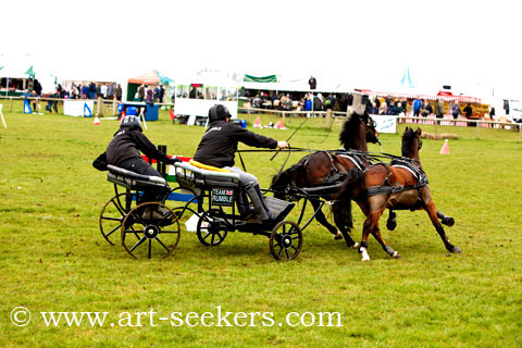 British Scurry Driving Trials Thame Country Show 1681.jpg British Scurry Driving Trials Thame Country Show 1681.jpg