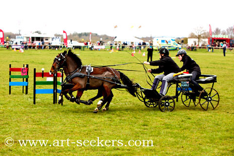 British Scurry Driving Trials Thame Country Show 1684.jpg