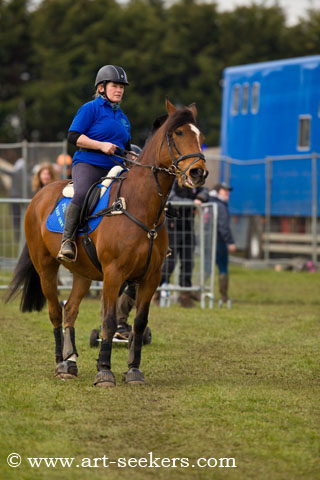 Horse Boarding 2018 Championships 1279.jpg