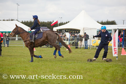 Horse Boarding 2018 Championships 1296.jpg Horse Boarding 2018 Championships 1296.jpg