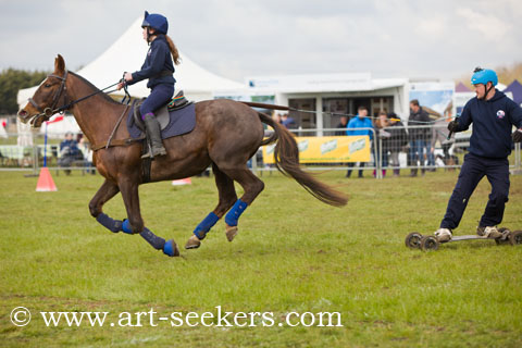 Horse Boarding 2018 Championships 1358.jpg