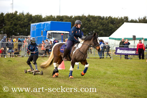 Horse Boarding 2018 Championships 1366.jpg Horse Boarding 2018 Championships 1366.jpg