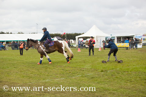 Horse Boarding 2018 Championships 1370.jpg Horse Boarding 2018 Championships 1370.jpg