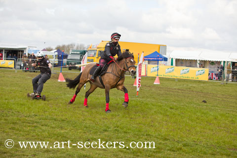 Horse Boarding 2018 Championships 1379.jpg