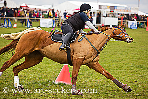 Horse Boarding 2018 Championships 1429.jpg Horse Boarding 2018 Championships 1429.jpg